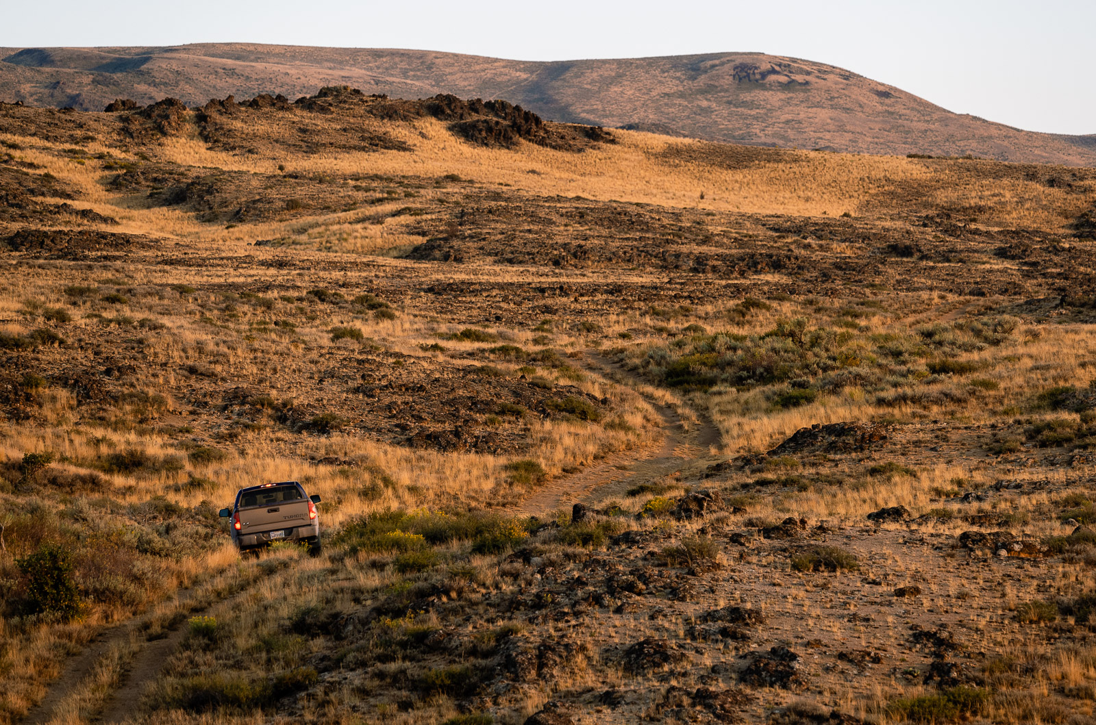 A pickup truck drivin in a grassybrushy hill, soft sunlight highlighting the landscape.
