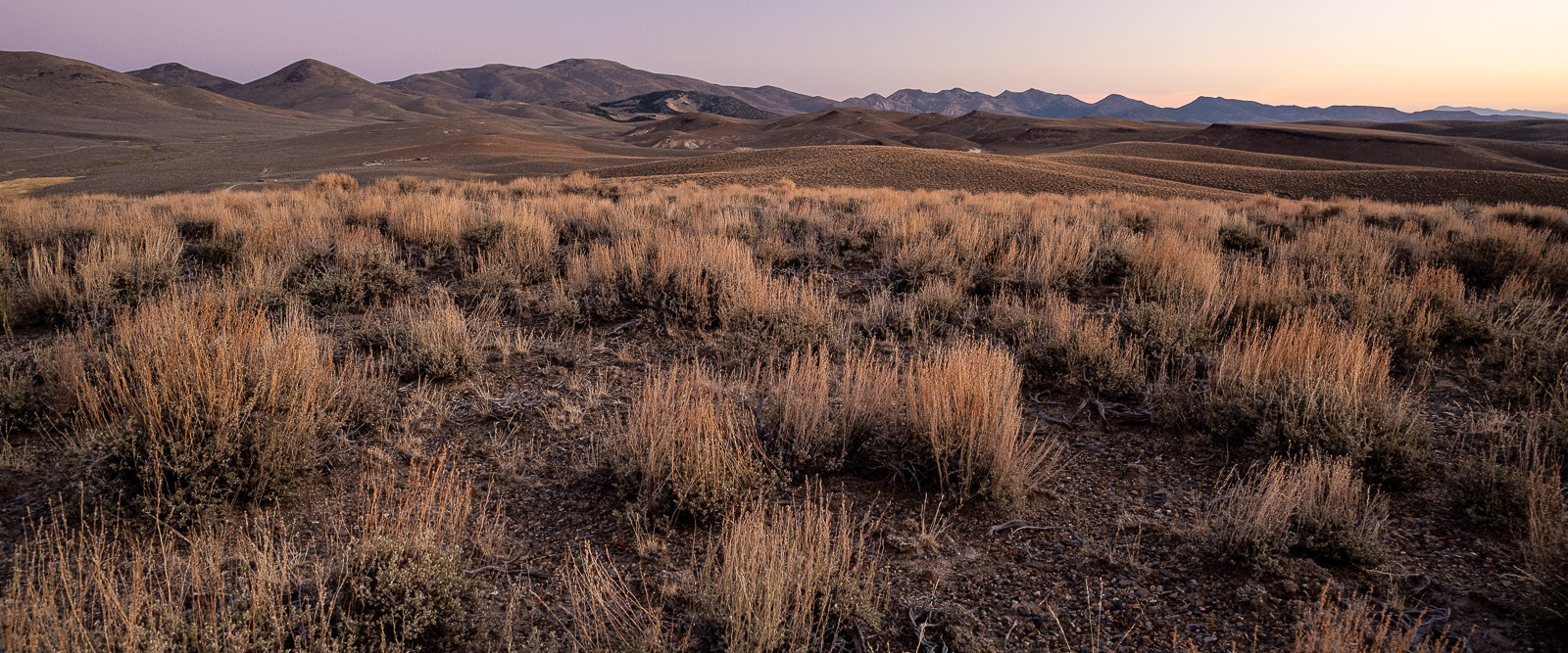 Sunrise in the central Nevada high desert