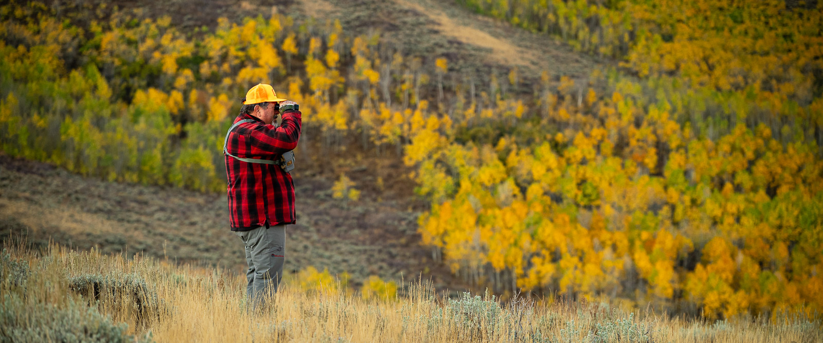 My dad using his new binoculars