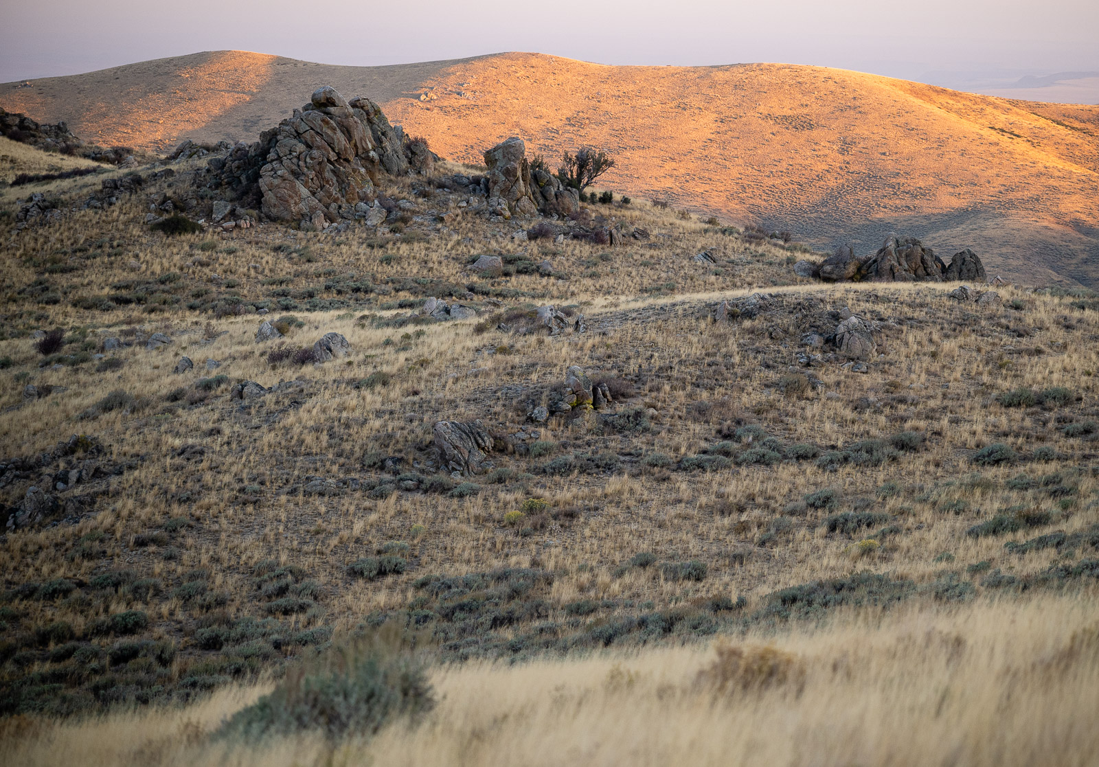 Heading down from the morning glassing session