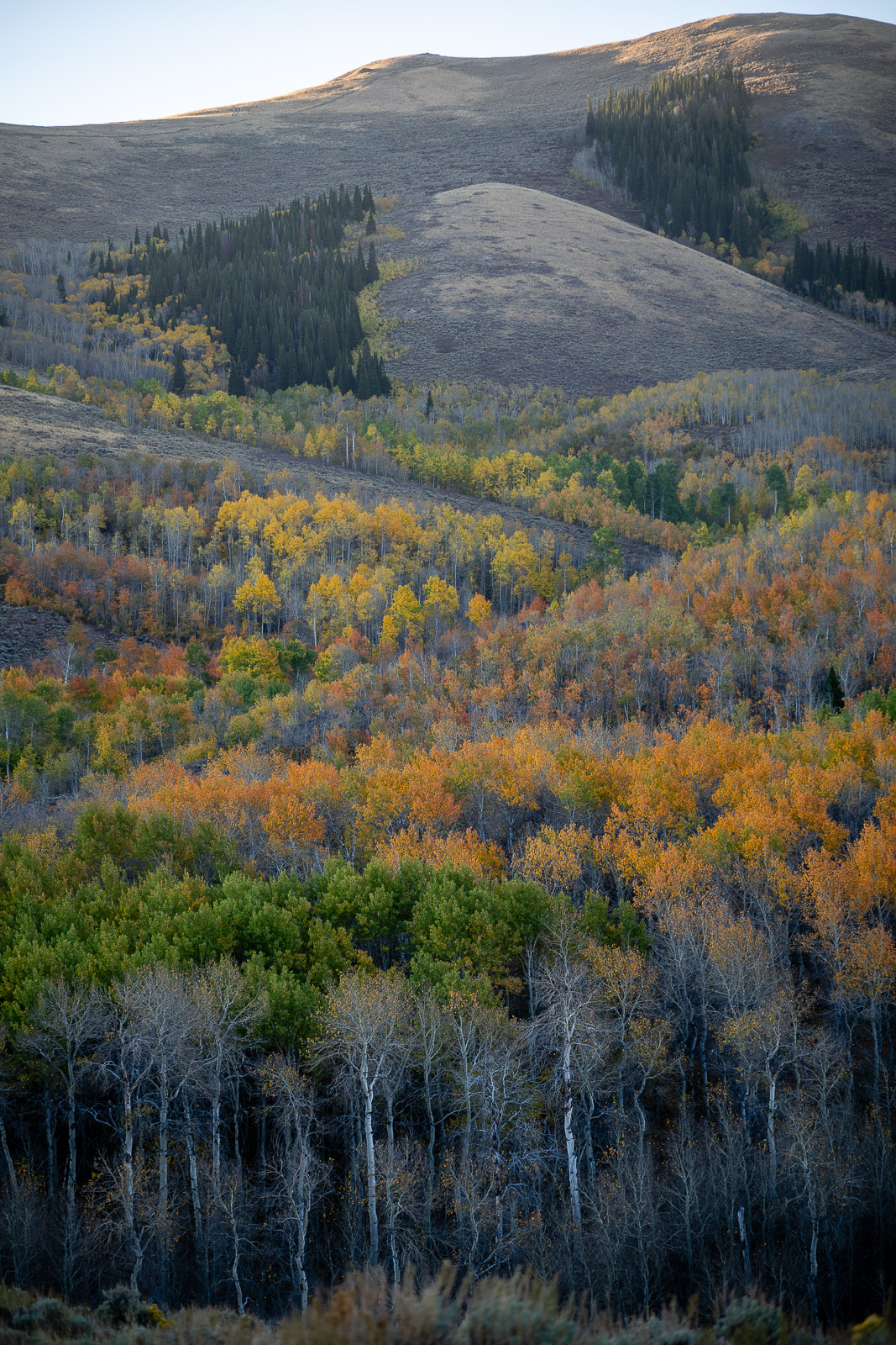 A fall morning in northeastern Nevada