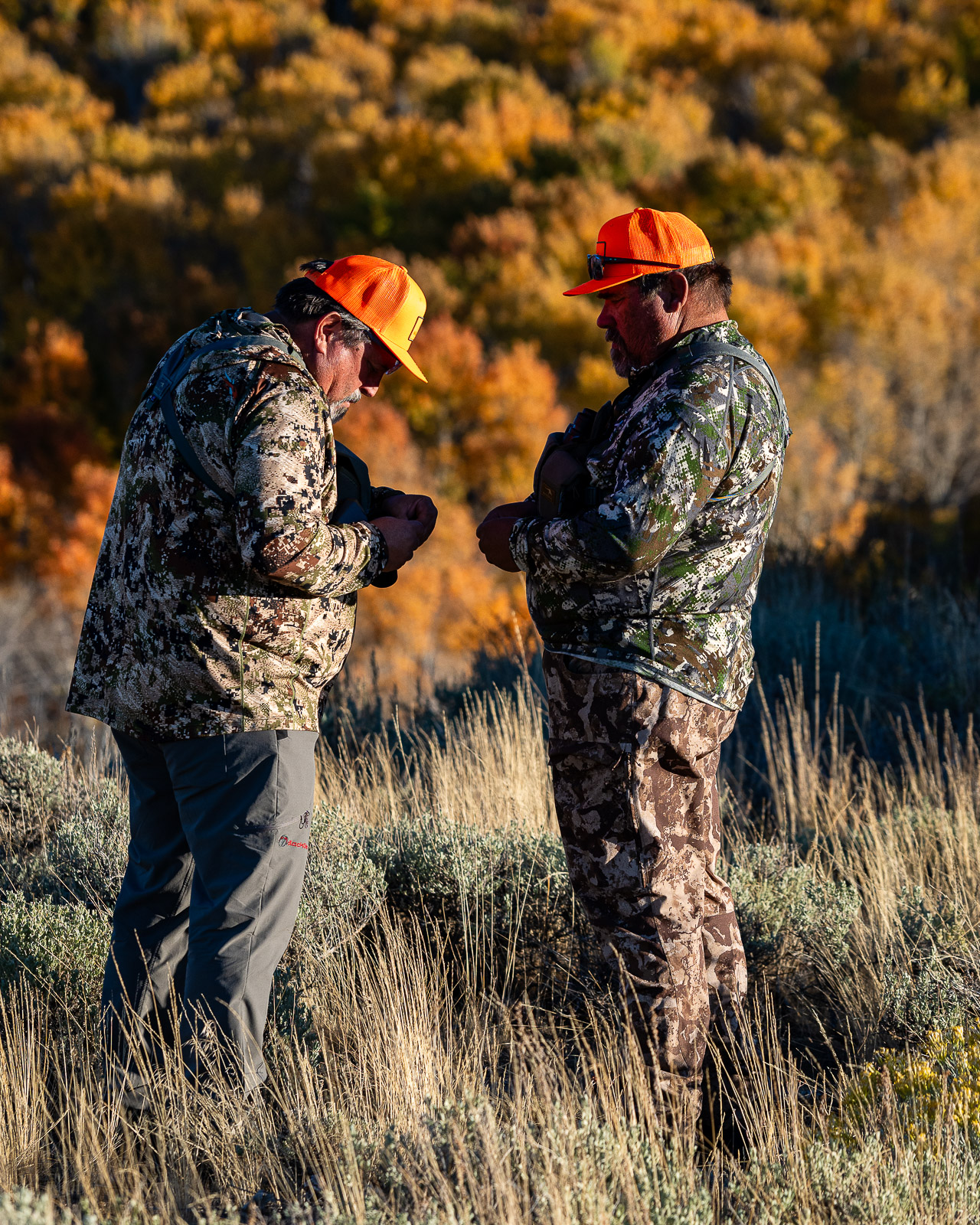 fall in eastern Nevada