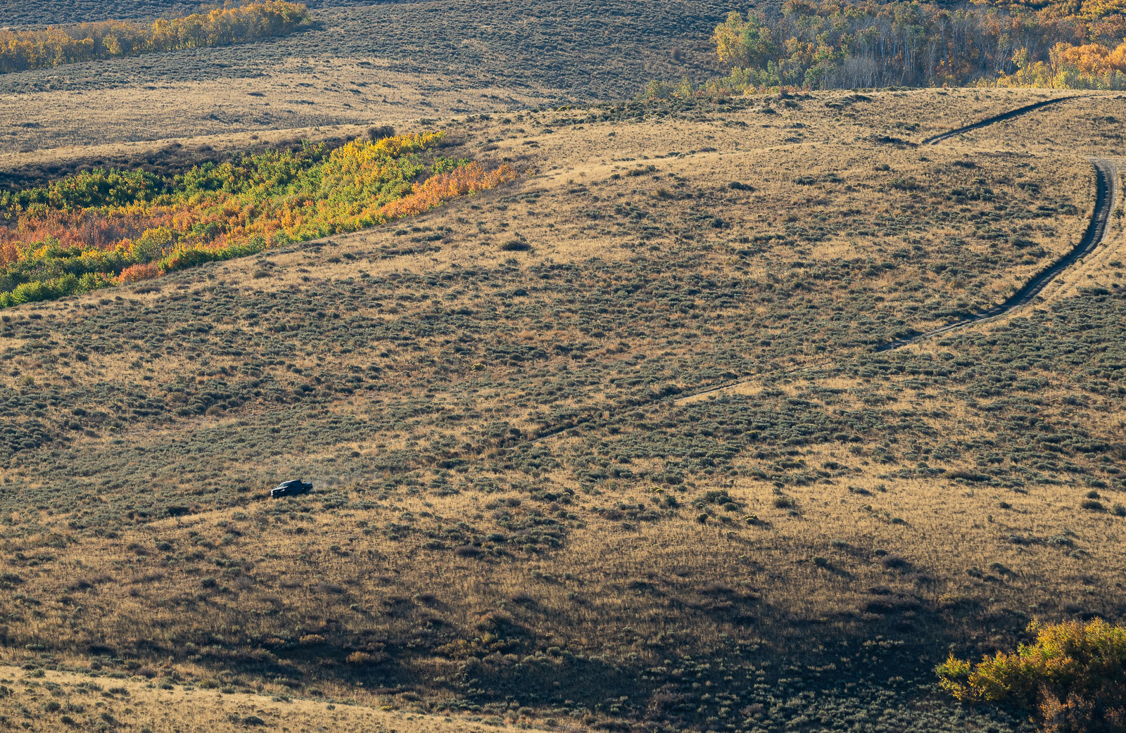 the lone hunter making their way down from the glassing hill