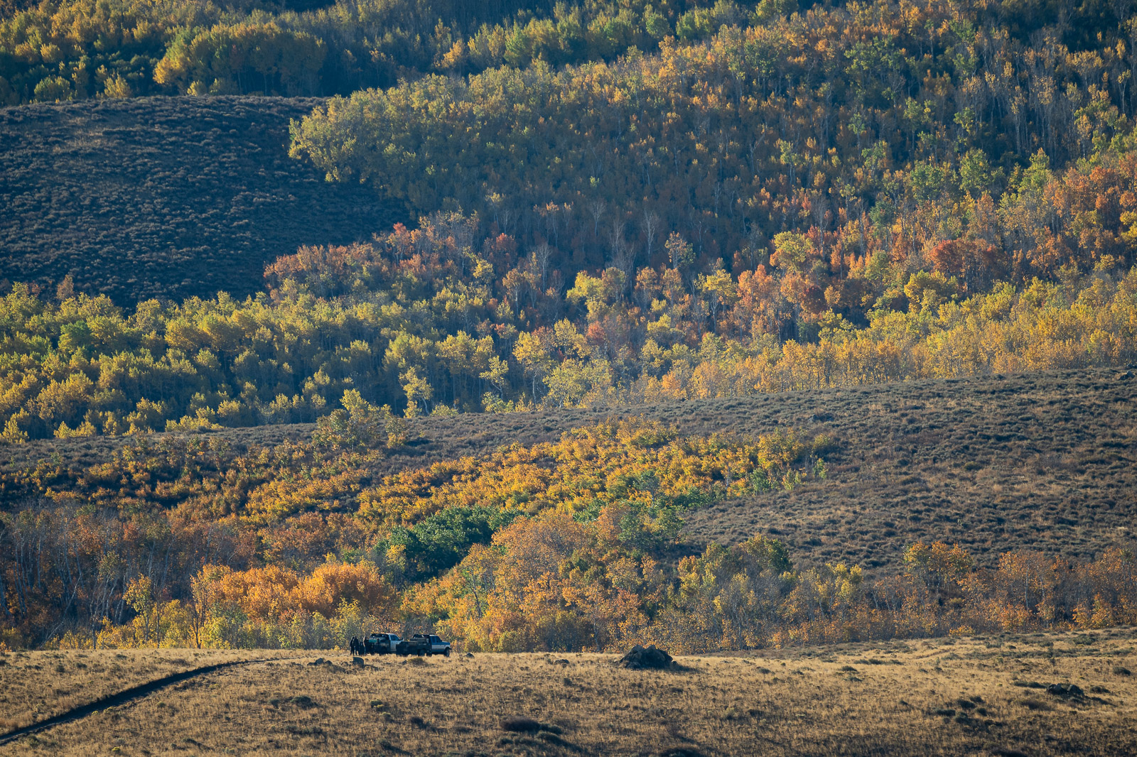 a group of hunters spoiling (sarcasm) our solitude