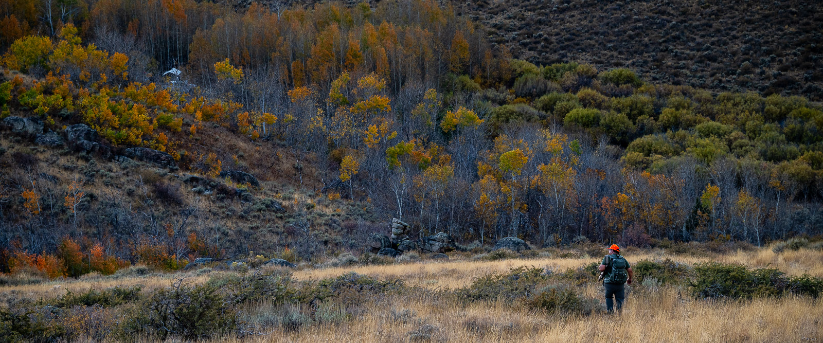 fall in eastern Nevada