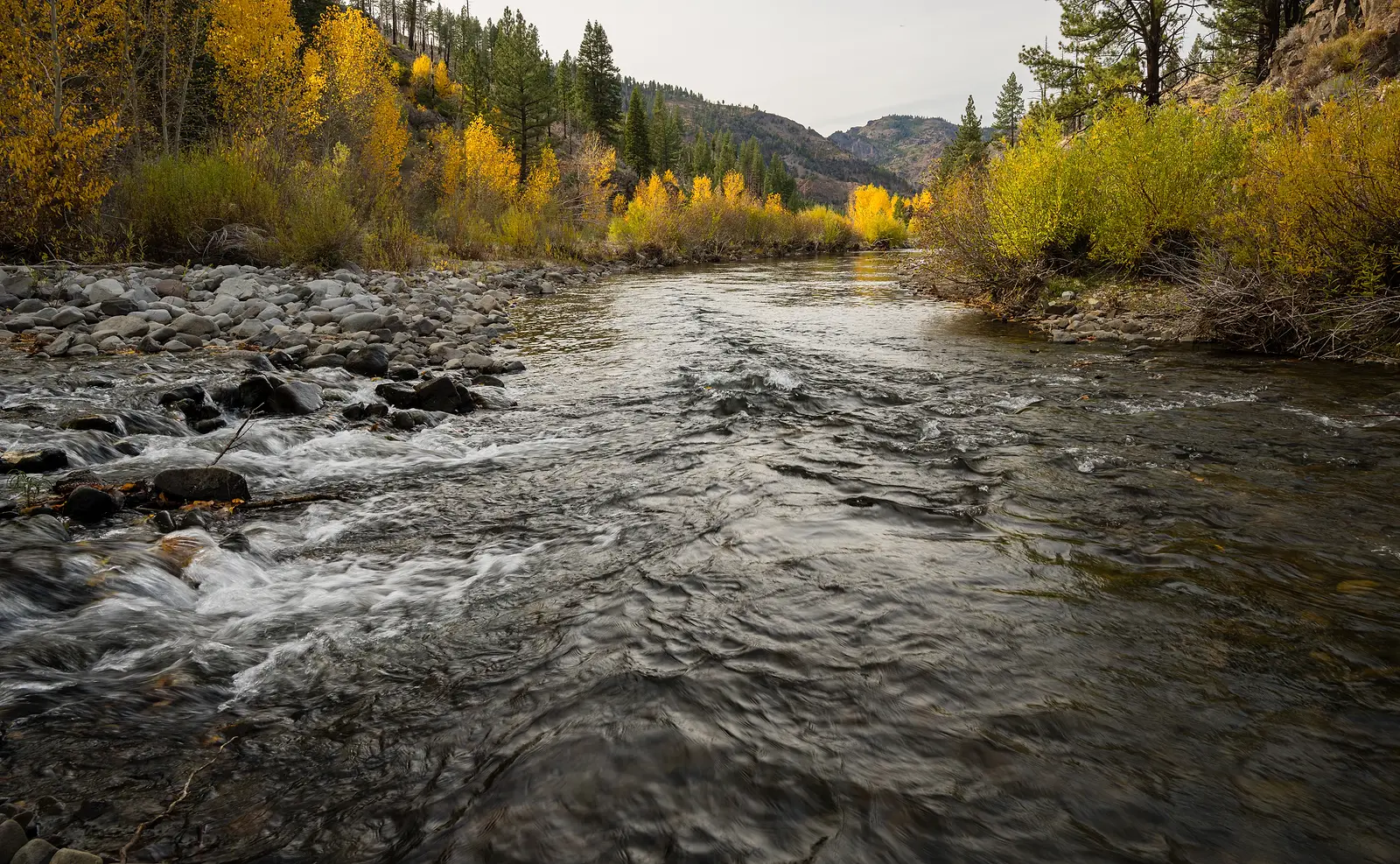 fall in eastern Sierra